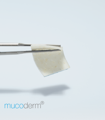 MUCODERM